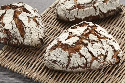 Levain de seigle liquide actif Sapore Oracolo
