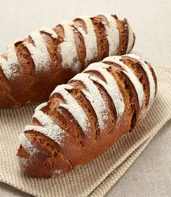 Levain liquide sur base seigle et malt d’orge Sapore Salome
