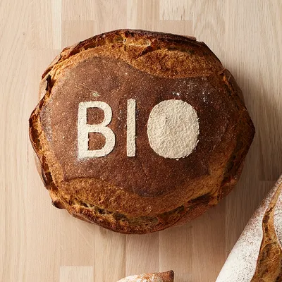 Levain de seigle dévitalisé en poudre Sapore Traviata Bio