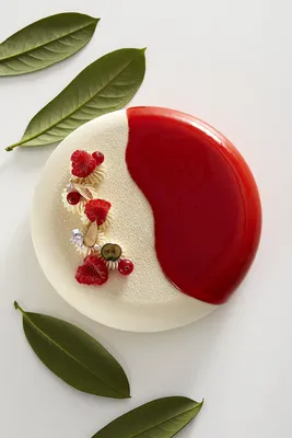 Glaçage Miroir Plus Fruits Rouges