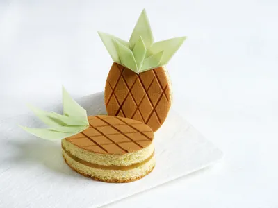 Pâte concentrée d'ananas sans morceau Classic Ananas