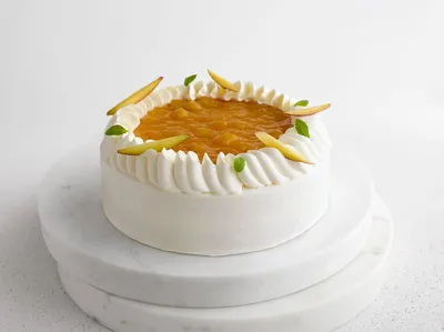 Fourrage type compotée Topfil Finest Mangue 70%