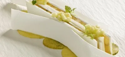 Pavlova Bien-Être