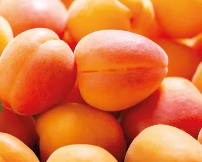 Pâte concentrée d'abricots sans morceau Classic Abricot