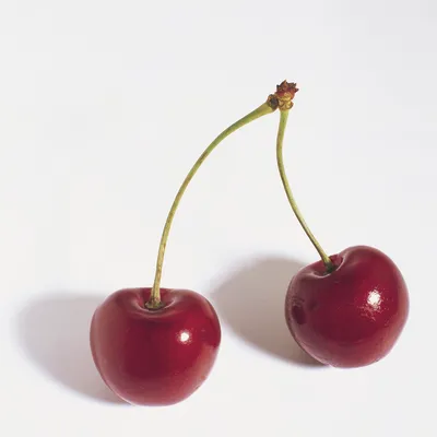 Cerises Amarena