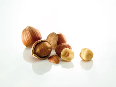 Pralirex Noisette