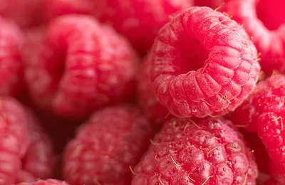 Fourrage Framboise pépins